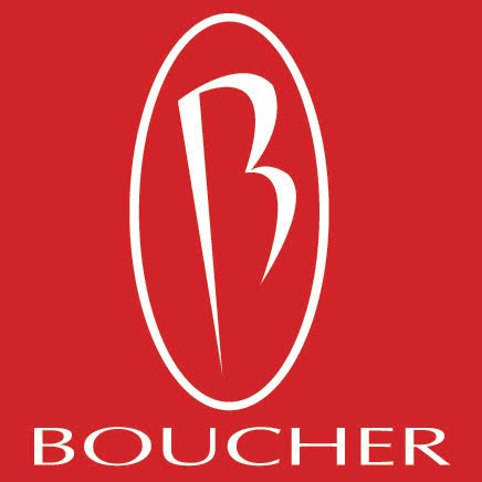 Frank Boucher Kia of Racine logo