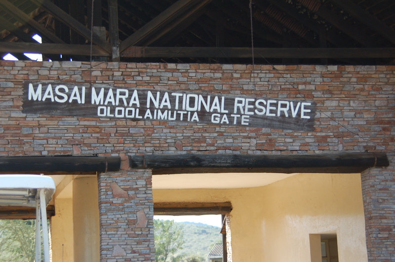 Maasai Mara (27-29 de junio de 2009) - El zoo más grande del mundo - Kenya (2009) (8)