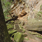 Steps at the base of the cliff on the Guringai Walk (227650)
