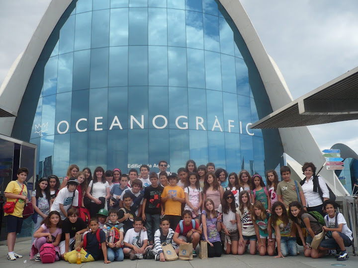 grupo escolar en el Oceanografic
