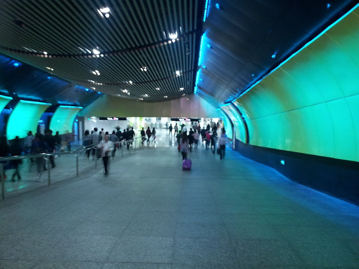 Etapa 15. Shanghai - China por libre (3)