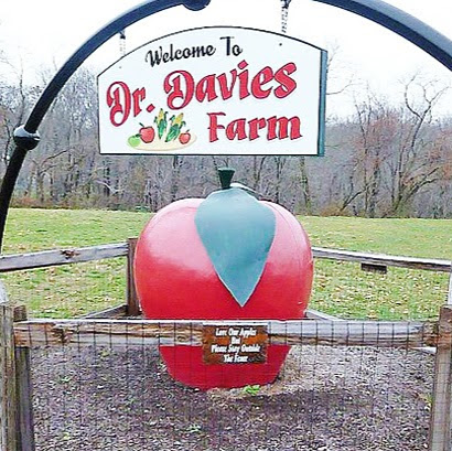 Dr Davies Farm