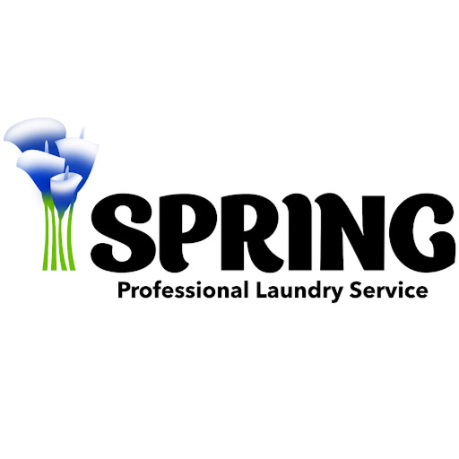Spring Laundry Service logo
