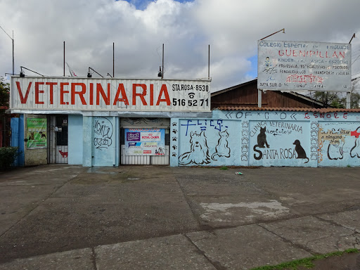 Clinica Veterinaria Santa Rosa, Av. Sta. Rosa 8530, La Granja, Región Metropolitana, Chile, Veterinaria | Región Metropolitana de Santiago