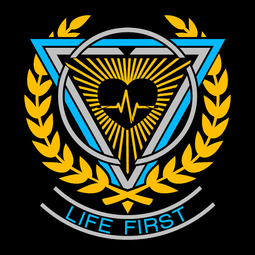 Life First Group, LLC logo