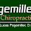 Pogemiller Chiropractic - Pet Food Store in Charles City Iowa