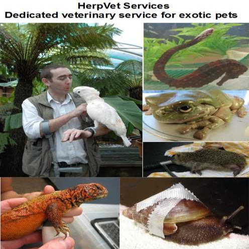 HerpVet Services (Exotic Animal Veterinary Service) logo