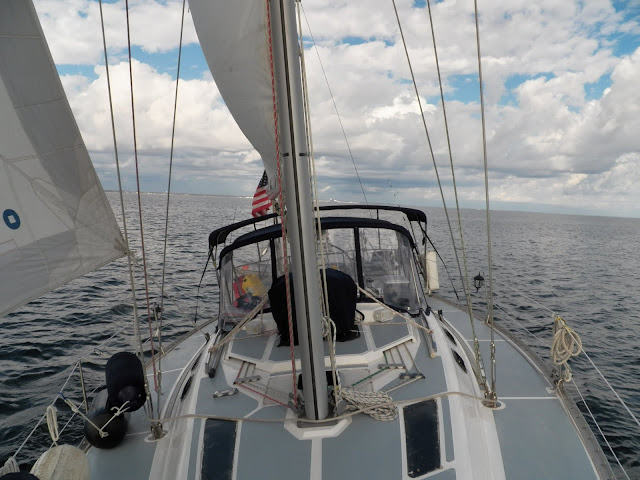 sailing