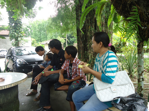 Butterfly Park