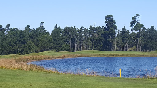 Golf Course «Sandpines Golf Links», reviews and photos, 1201 35th St, Florence, OR 97439, USA