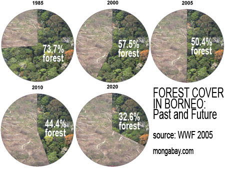 Hutan di Indonesia