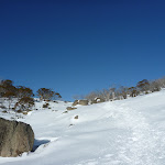 Scattering of granite boulders (299890)