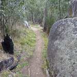 Granite boulder on Bullocks Track (296051)