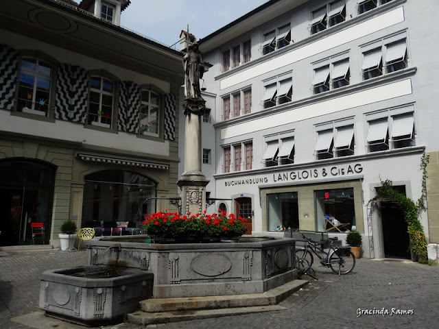 2012 - Passeando pela Suíça - 2012 - Página 14 DSC05111