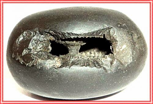 Shaligram