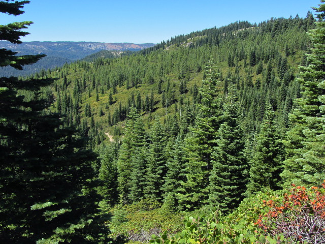 the side of the mountain, the road/trail below and a little of the view with red bluffs