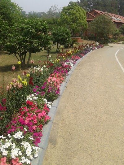 Photos of Malpi International School