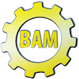 NR & SL Curle Trading as BAM - Barry Armstrong Motors - Waihi logo