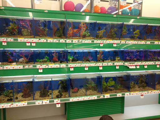 Pet Supply Store «Pet Supplies Plus», reviews and photos, 30450 Lakeshore Blvd, Willowick, OH 44095, USA