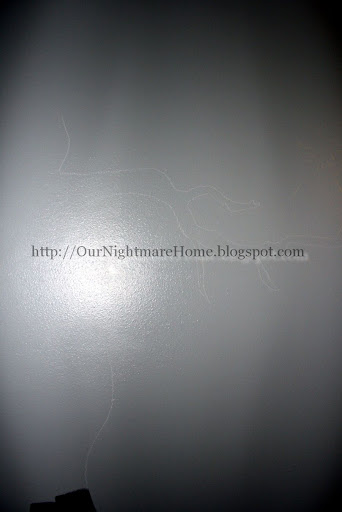 View More