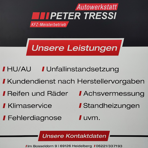 Autowerkstatt Peter Tressi petertressi(at)gmail.com logo