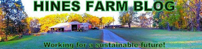 Hines Farm Blog