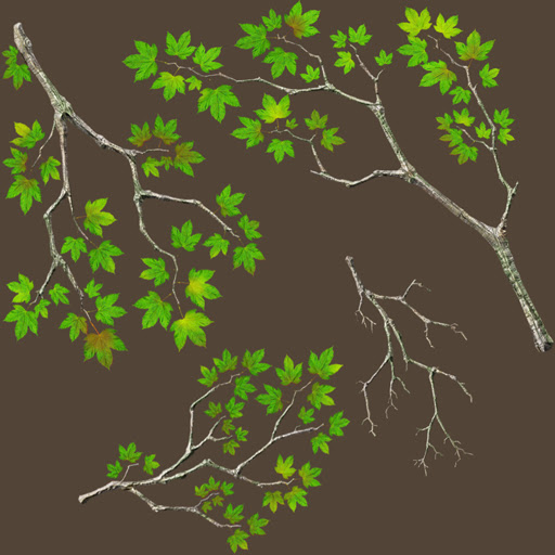 mapleBranchTexture