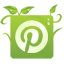 Pinterest Pinterest