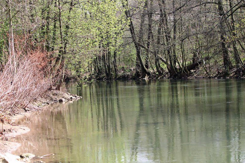 IMAGE: https://lh5.googleusercontent.com/-yF19f42bebE/T4RGcXxLCfI/AAAAAAAADjk/2cHsNQocAxA/s800/IMG_3740.JPG