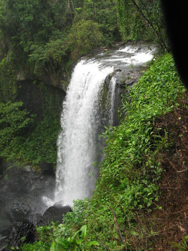 Zillie Falls, Qld
