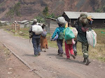 Les FARDC accompagnées des membres de leurs sur la route entre Goma et Rutshuru après la chute de cette dernière cité entre les mains des rebelles du M23, le 10 Juillet 2012. © MONUSCO/Sylvain Liechti