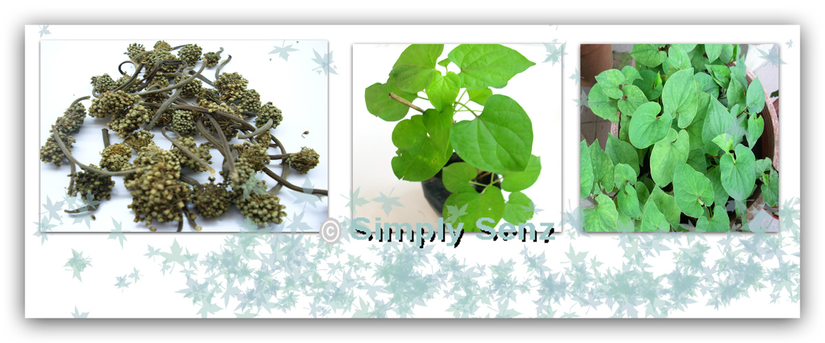 shi shang bo herbal home remedies for nasal syndrome