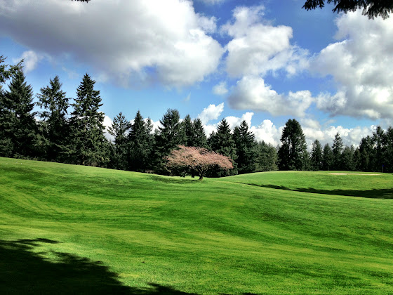 Beautiful Spring afternoon at Fircrest Golf & Country Club, March 22, 2013.