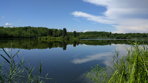 Birchwood Resort