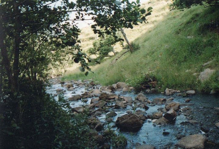 Vacances Lozère-Aveyron-Aubrac  Img199