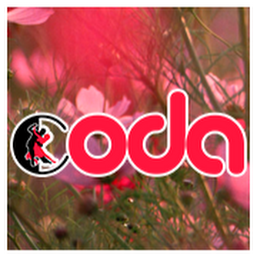 Coda Lsd's user avatar