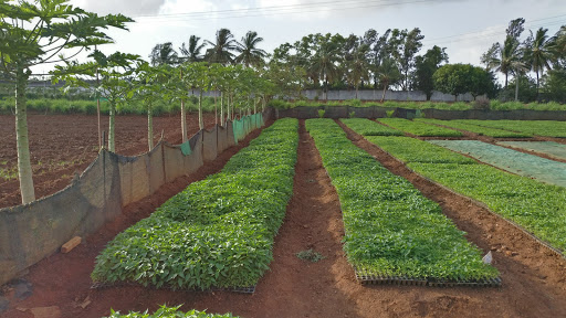 Sarpan Agri-Horticultural Research Centre, NH-4, Bypass, New Basawa Colony, Opposite Air Tech, Belgaum Road, Dharwad, Karnataka 580005, India, Research_Center, state KA