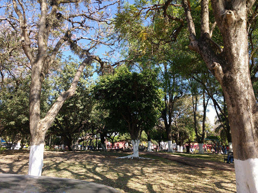 Jardín Ramayana MBVIP, Del Trabajo, Jose G. Parres, 62550 Jiutepec, Mor., México, Jardín botánico | MOR