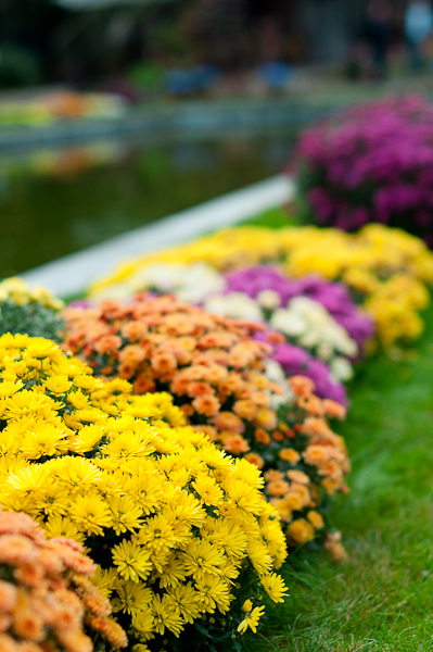 Ели-гуляли...