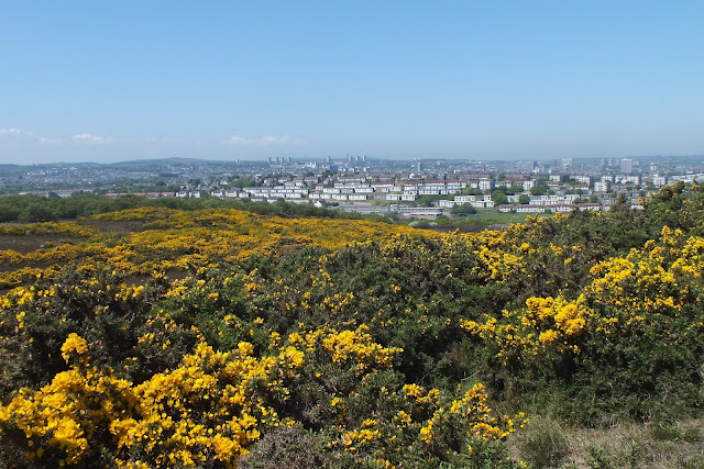 Tullos Hill, Aberdeen