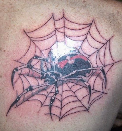 Spider Tattoos