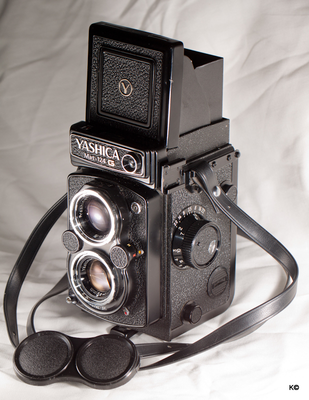 IMAGE: https://lh5.googleusercontent.com/-ycpL_hdqISQ/USVav1ZkFUI/AAAAAAAAiFQ/eVgU2FnmmDs/s800/_MG_2932-2.JPG