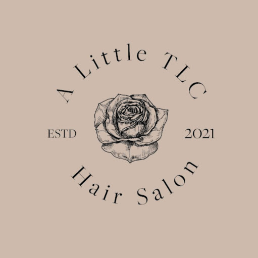 A Little TLC Salon - Summerlin Extensions logo