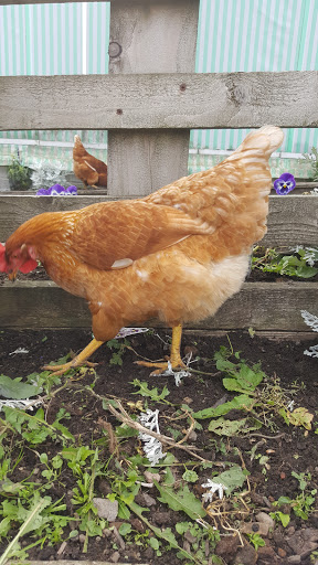 Keelham Farm Shop (Thornton)