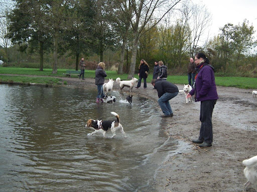 DSCF3493.jpg