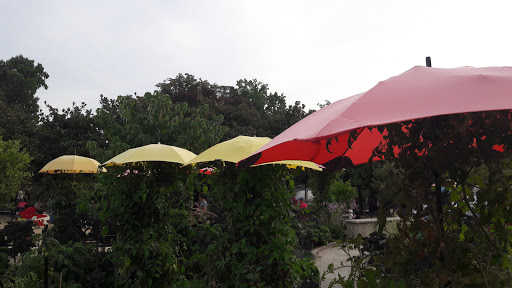 Jardin des Plantes