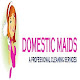 Domestic Maids