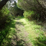 Henry Head Track near Botany Bay National Park (310949)
