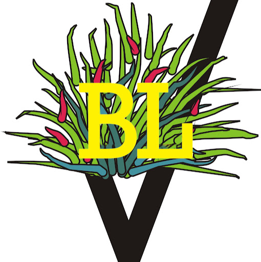 Vivai Piante Brazzale Luigi logo