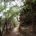 Copelands Lookout track (93403)